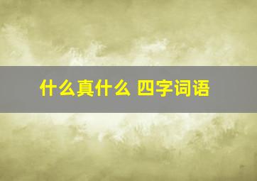 什么真什么 四字词语